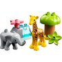 Lego - Animale din Africa - 8