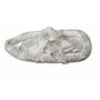 Baby Nest Somnart: Cosulet bebelusi + Salteluta 42x84x2 cm + Paturica 70x70 cm model Elegant Armonia - 2