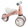 Bicicleta fara pedale Flamingo Ecotoys LB1603 - 5