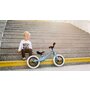 Bicicleta fara pedale, Lionelo, Bart, Usoara, Cu cadru din magneziu, Cu ghidon si sa reglabile, Greutate 3 Kg, 12 inch, Conform cu standardul european de securitate EN71, Purple Amethyst - 15