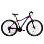 Bicicleta Mtb Terrana 2922 - 29 Inch, S, Violet - 1