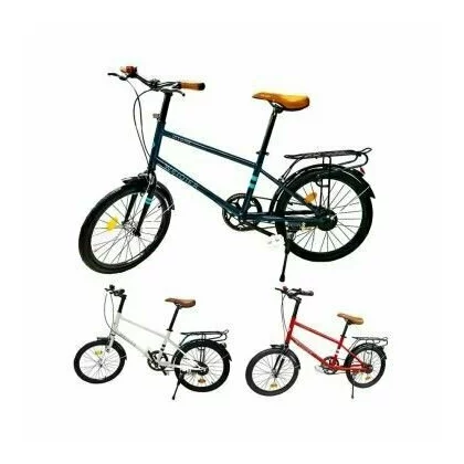 Bicicleta pentru copii, cu portbagaj, cadru metalic, 20