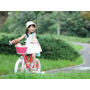 Bicicleta pentru copii, Royal Baby, Star Girl, 2 - 4 ani, cadru BMX-Type otel, roti aer 12 inch, sa reglabila, roti ajutatoare, Albastra - 7