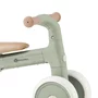 Bicicleta/tricicleta, Petite&Mars, 3 in 1, Multifunctionala, Cu/fara pedale, Ghidon directionabil, Sa reglabila pe inaltime, 2.3 kg, Pana la 25 kg, 12-36 luni, Verde - 12