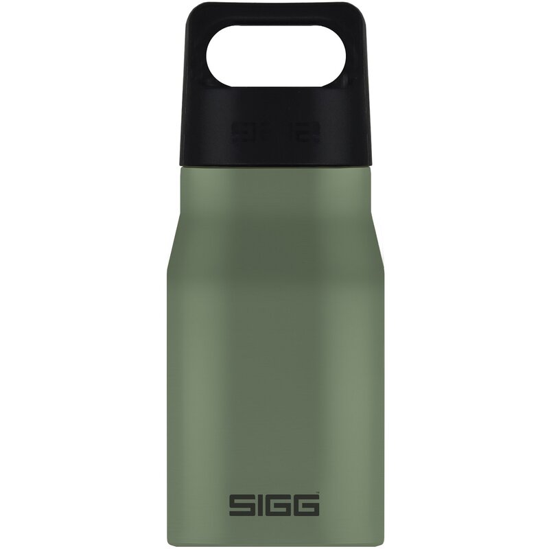 Sigg - Bidon Leaf 550 ml Explorer din Otel, Verde