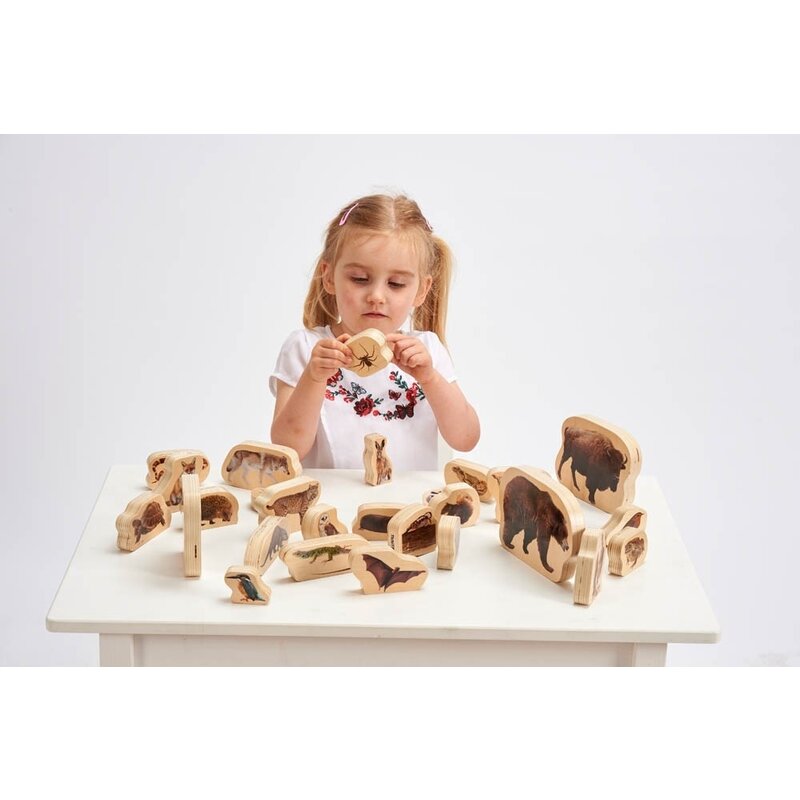 Tickit - joc educativ blocuri cu animale salbatice 30 buc