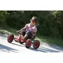 Carting Distarctiv VIKING - 2