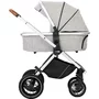 Carucior 3 in 1, FreeON, Joy, Reversibil, Cu cadru din aluminiu, Scoica auto, Husa picioare, Geanta mamici si accesorii, Conform cu standardele europene EN1888-1:2018+A1:2022, Gri - 2