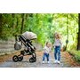 Carucior Alba Premium, Steel Grey - 18