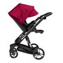 Carucior Bebumi Space 2 in 1 (Ruby) - 7