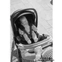 Chicco - Carucior copii sport We, Cool Grey, 0luni+ - 6