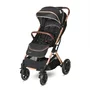 Carucior pentru nou-nascut Storm, pana la 22 kg, cadru aluminiu, Luxe Black - 2