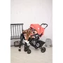 Lorelli - Carucior 2 in 1 Daisy Basic, Albastru/Gri - 7