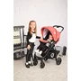 Lorelli - Carucior 2 in 1 Daisy Basic, Albastru/Gri - 8