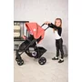 Lorelli - Carucior 2 in 1 Daisy Basic, Albastru/Gri - 9
