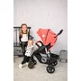 Lorelli - Carucior 2 in 1 Daisy Basic, Albastru/Gri - 10