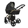 Carucior Set Rimini Premium, cos landou separat, Black - 2