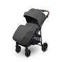Carucior sport, Caretero, Elma, Pliabil, De la nastere, Pana la 22 kg, Capotina extensibila, Spatar, maner si suport picioare reglabile, Cos depozitare, Cu accesorii, 0-48 luni, Gri - 5