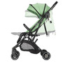 Carucior sport Coccolle Alla Mistletoe green - 4