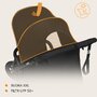 Carucior sport, Lionelo, Azura, Cu 3 roti, Cu baldachin XXL impermeabil, Pliere compacta, Pana la 22 kg, 6-48 luni, Conform cu standardele europene de securitate EN1888-1 si EN1888-2, Negru - 36