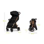 Carucior sport, Lionelo, Ingrid, Capotina impermeabila cu filtru UPF50+, Pana la 22 Kg, Spatar reglabil in 3 pozitii, Include suport pahar si plasa de tantari, Sistem pentru pliere automata, 6 luni+, Negru - 19