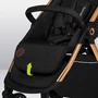 Carucior sport, Lionelo, Ingrid, Capotina impermeabila cu filtru UPF50+, Pana la 22 Kg, Spatar reglabil in 3 pozitii, Include suport pahar si plasa de tantari, Sistem pentru pliere automata, 6 luni+, Negru - 22