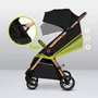 Carucior sport, Lionelo, Ingrid, Capotina impermeabila cu filtru UPF50+, Pana la 22 Kg, Spatar reglabil in 3 pozitii, Include suport pahar si plasa de tantari, Sistem pentru pliere automata, 6 luni+, Negru - 25
