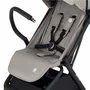 Carucior sport, Petite&Mars, Flip, Pliere compacta cu o mana, Spatar reglabil pana la pozitie de somn, Suport picioare reglabil, Copertina extensibila cu protectie UPF50+, Pana la 22 kg, 0 luni+, Gri - 10