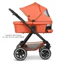 Carucior sport reversibil Samba Carrot Abc Design - 16