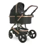 Carucior transformabil, Boston, pana la 22 kg, Black - 2