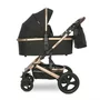 Carucior transformabil, Boston, pana la 22 kg, Black - 4