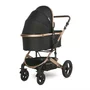 Carucior transformabil, Boston, pana la 22 kg, Black - 5