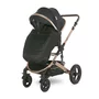 Carucior transformabil, Boston, pana la 22 kg, Black - 7