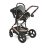 Carucior transformabil, Boston, pana la 22 kg, Black - 11