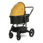 Carucior transformabil, Boston, pana la 22 kg, Lemmon Curry - 5