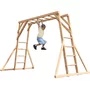 Catarator monkey Bars Climbing Frame Dunster House - 1