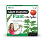 Ciclul vietii plantei - set magnetic - 4