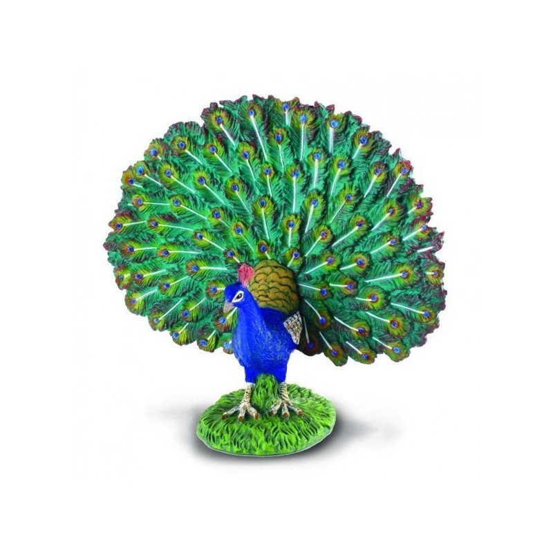 Collecta - figurina paun l