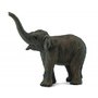 Collecta - Figurina Pui De Elefant Asiatic S - 1