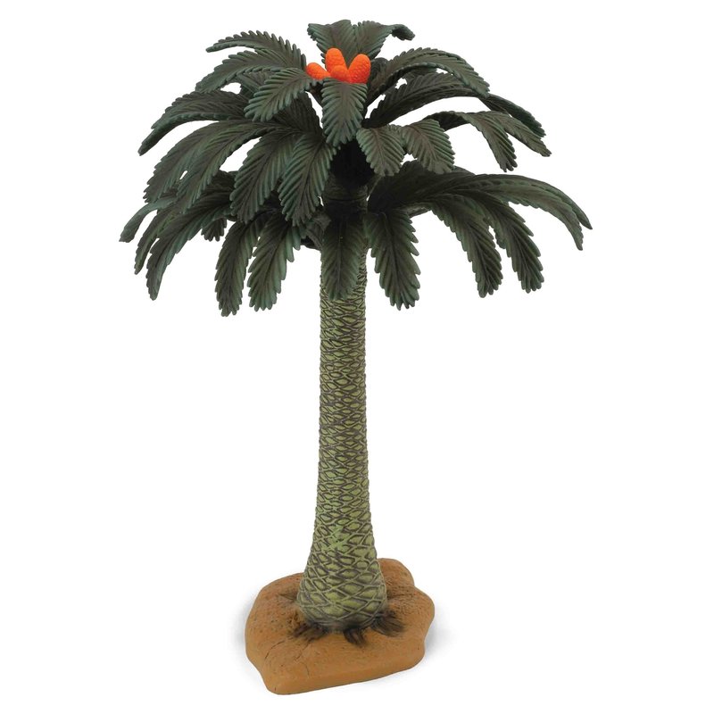 Collecta - Copac Cycad