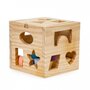 Cub educational cu 12 blocuri din lemn si sortator Ecotoys 2540 - 1