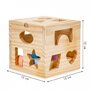Cub educational cu 12 blocuri din lemn si sortator Ecotoys 2540 - 4