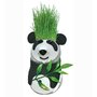 Bambinice - Set pentru experimentat Cap de iarba Panda