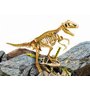 Experimentele micului geniu - Kit paleontologie T-Rex - 1