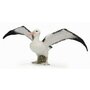 Collecta - Figurina Albatros ratacitor L - 1