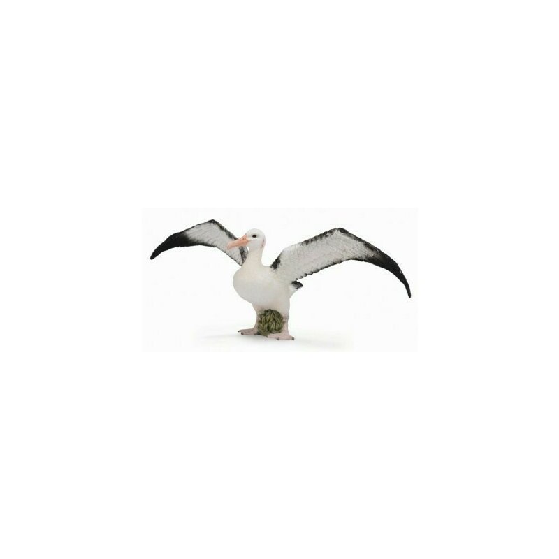 Collecta - figurina albatros ratacitor l