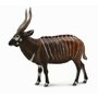 Collecta - Figurina Antilopa Bongo XL - 1