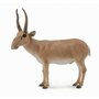 Collecta - Figurina Antilopa Saiga L - 1