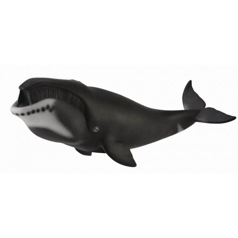 Collecta - Figurina Balena Bowhead XL