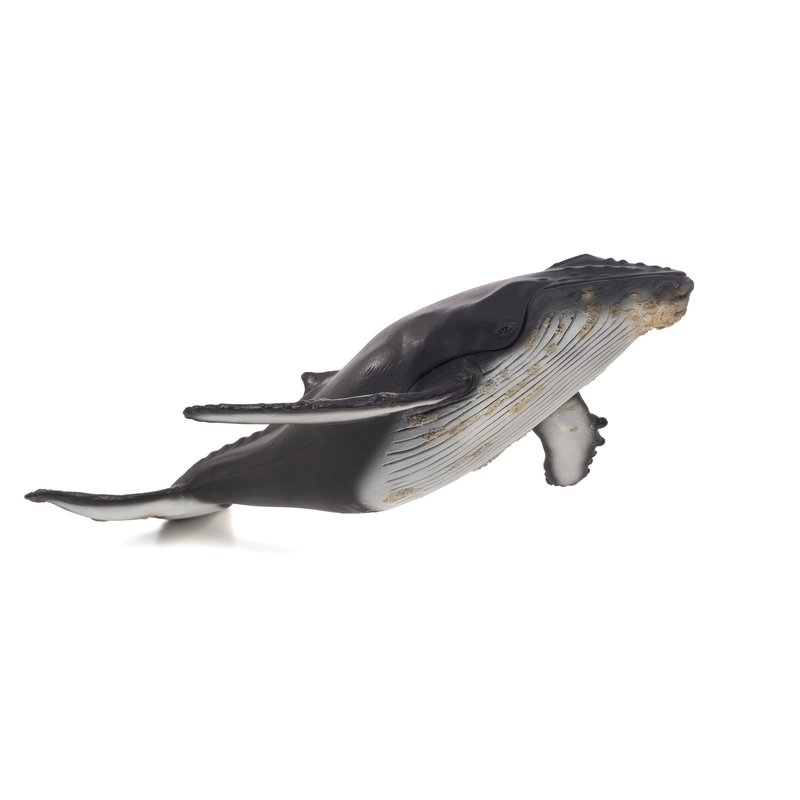 Mojo - Figurina Balena cu cocoasa